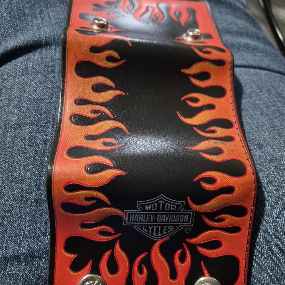 Harley-Davidson dynamic money