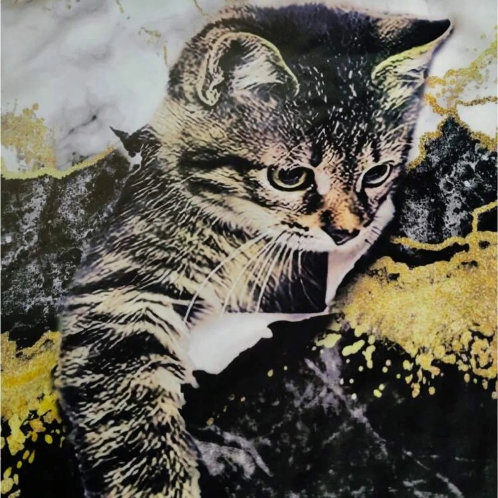 N/A stylish pet