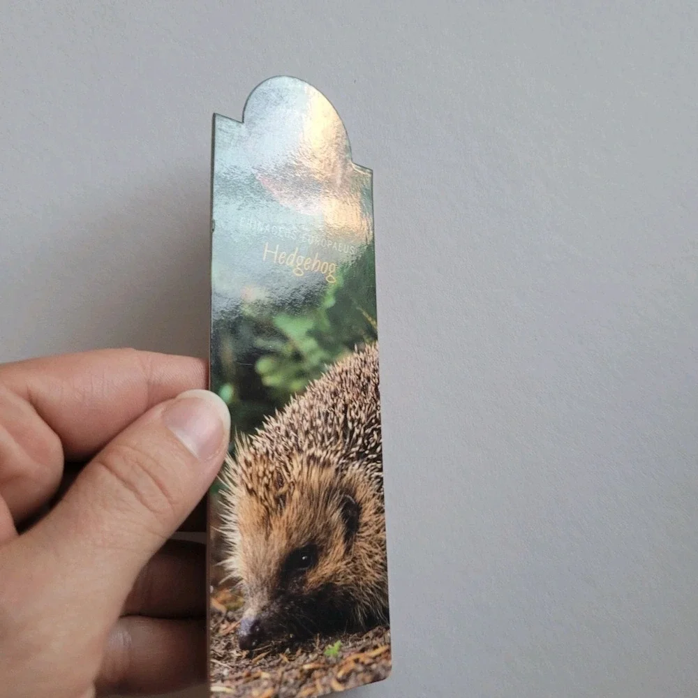 that company called if cardmarks hedgehog