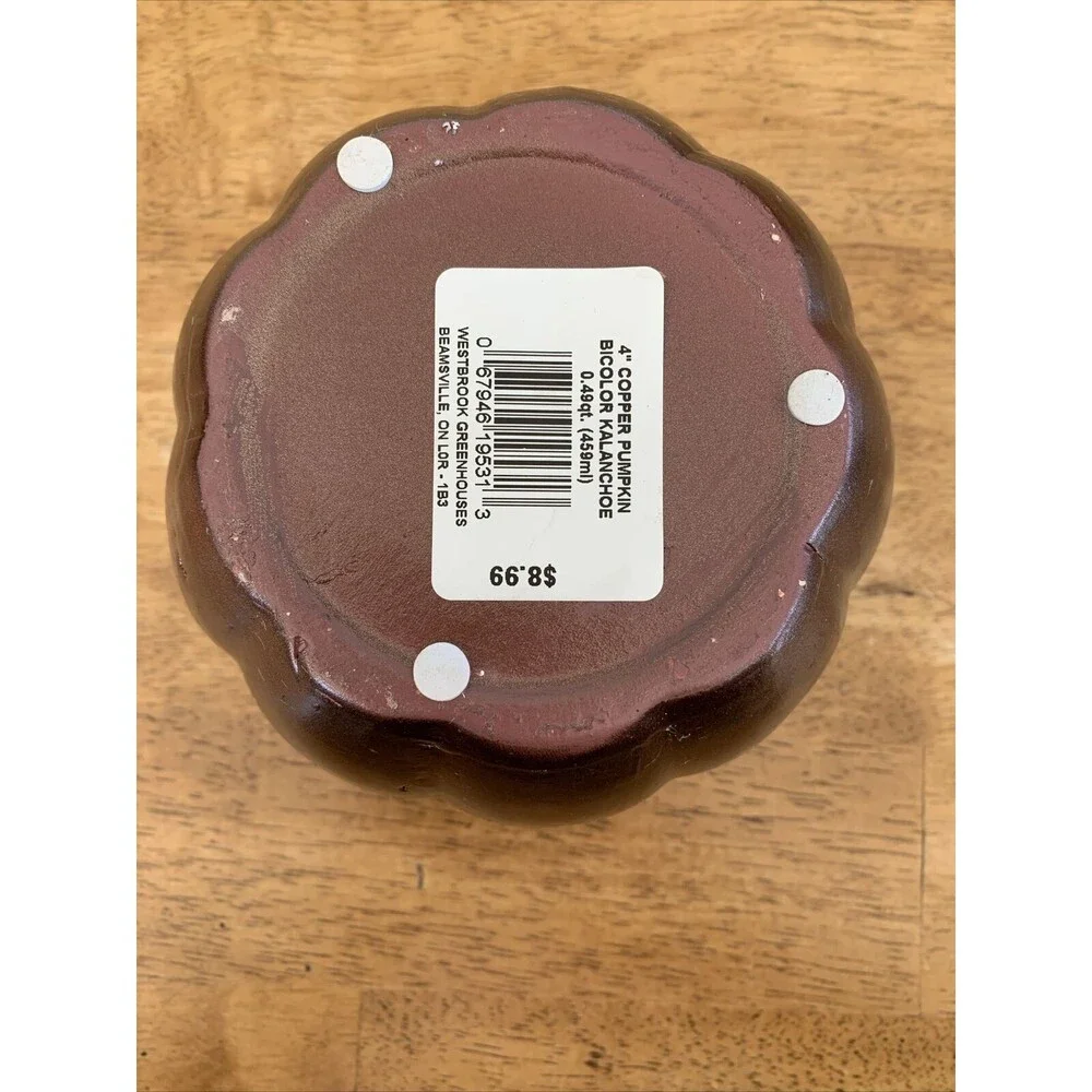 Unbranded please look out