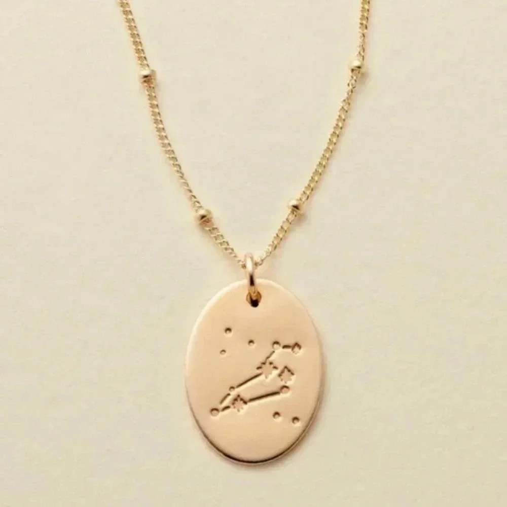Leo Minimalist Zodiac Charm Oval Disc Necklace