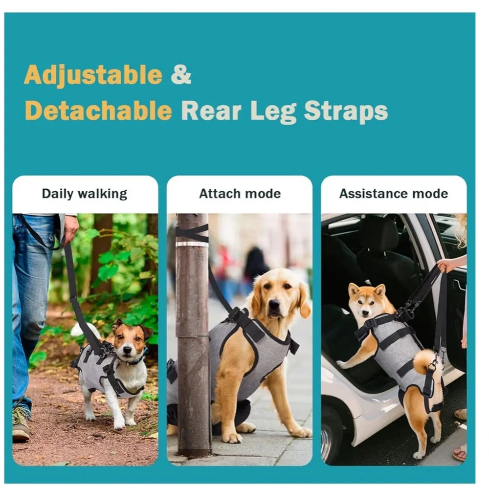OwnPets “ownpets” dog