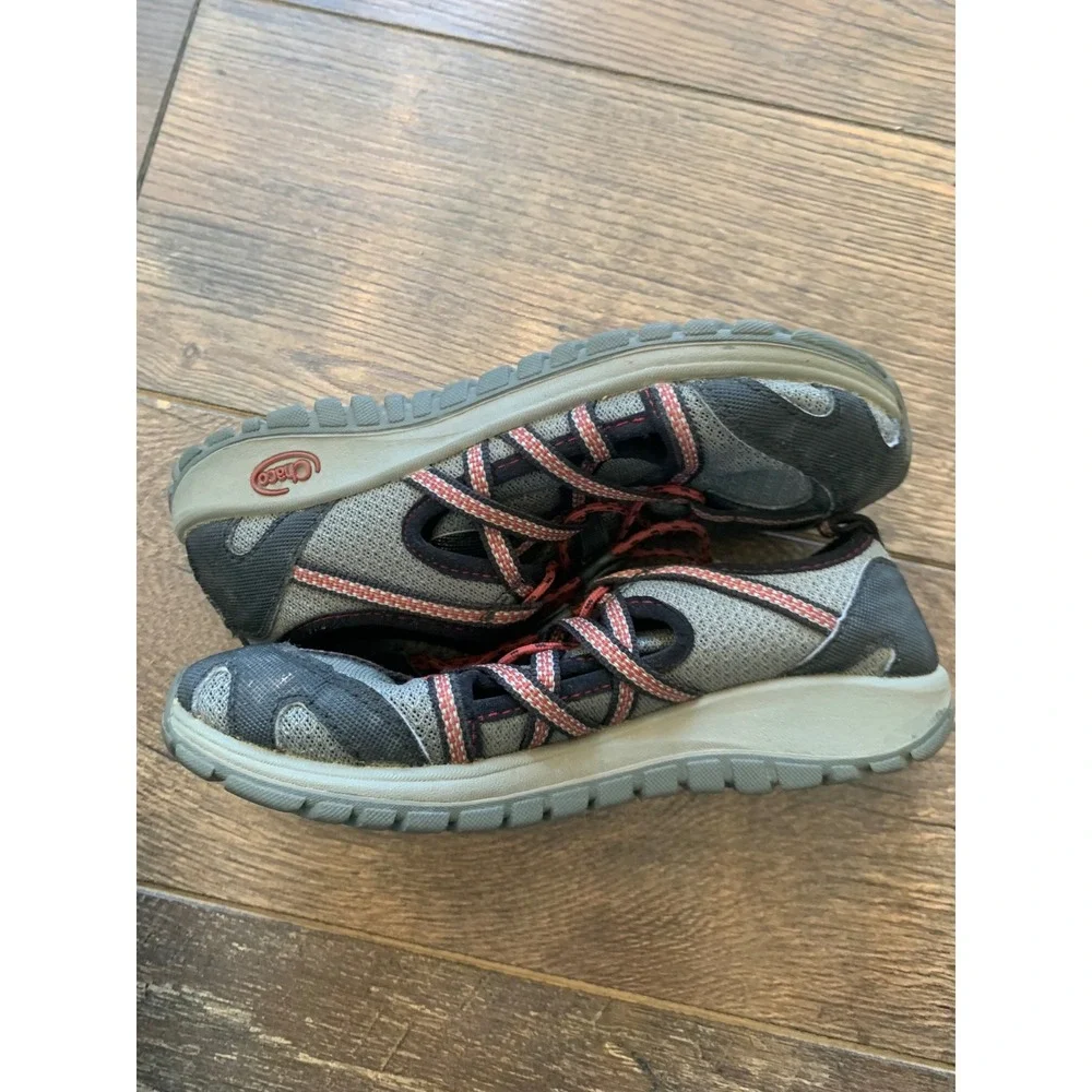 Chaco outcross kids