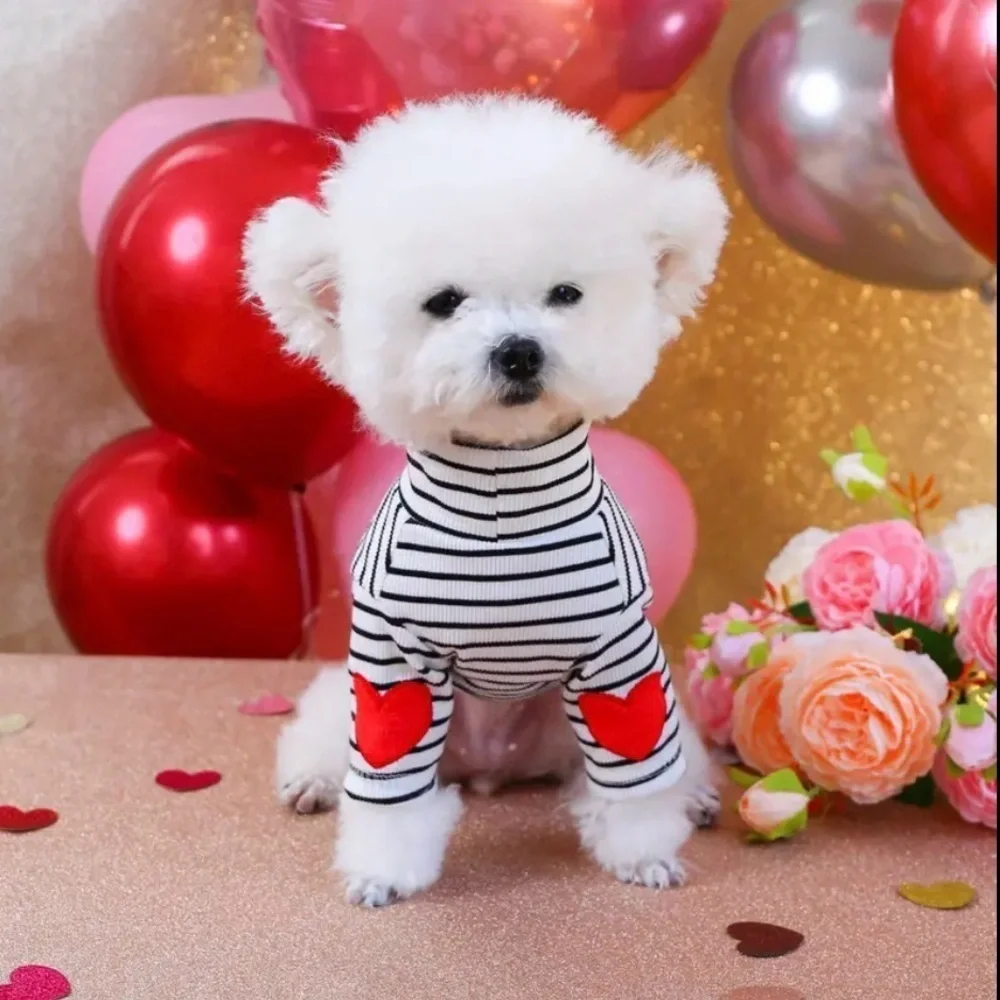 N/A adorable pullover