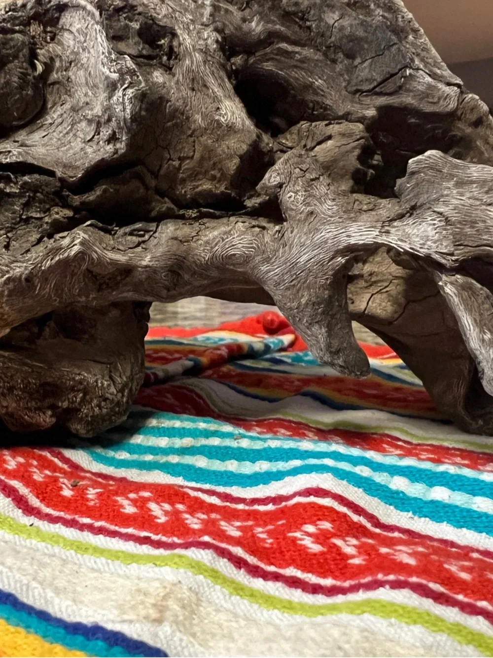 Natural Driftwood found on the James River Reptile Hide - Brown