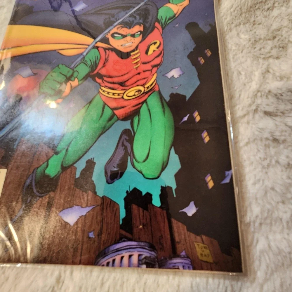 N/A vintage robin
