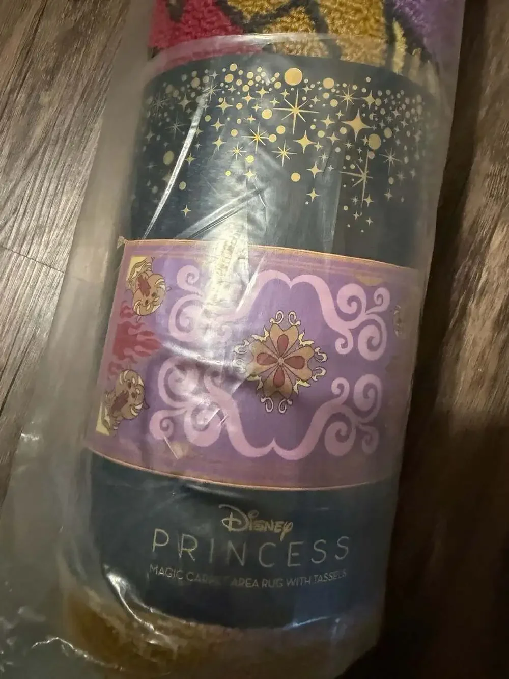 Disney princess aladdin