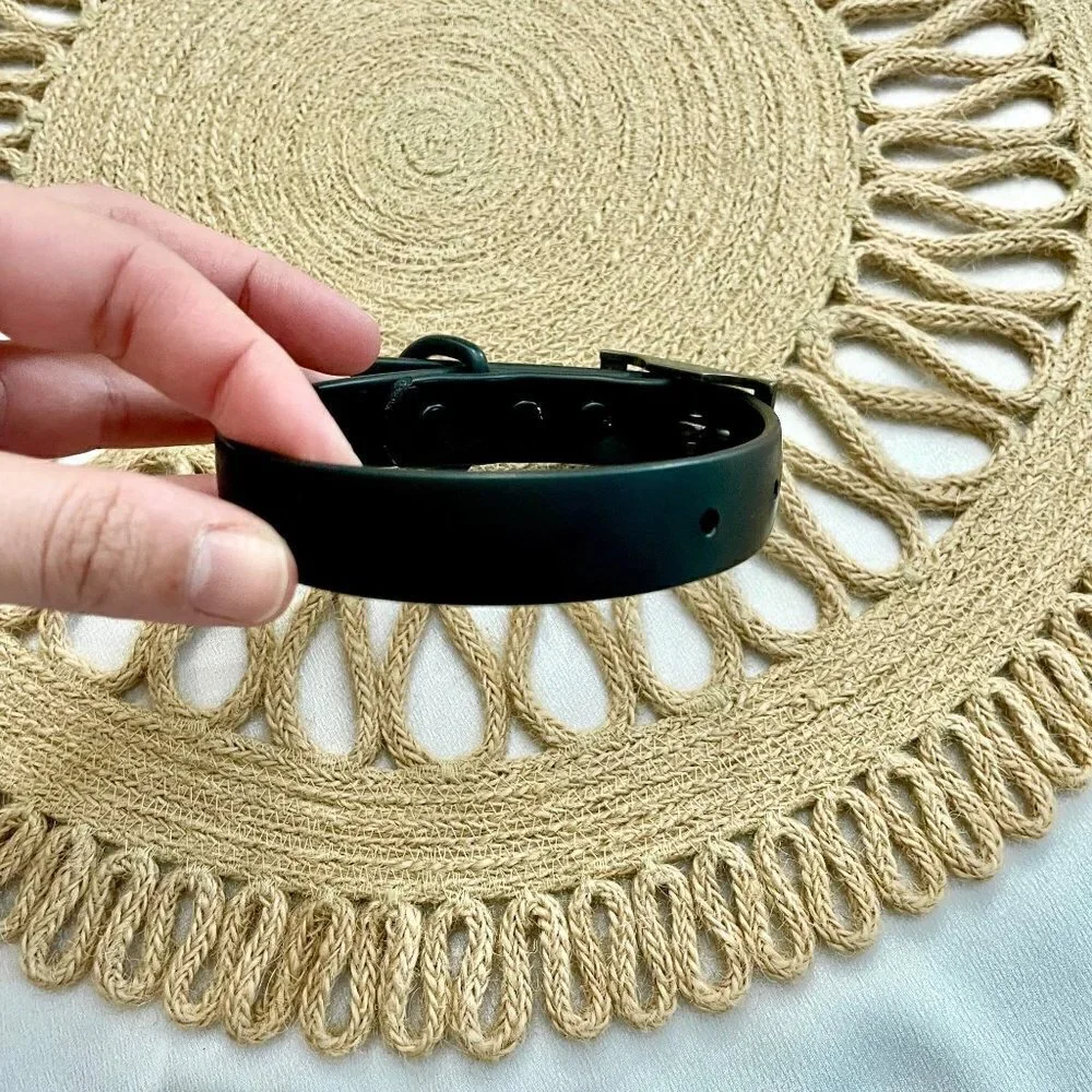 Wild One Black Dog Collar Size S