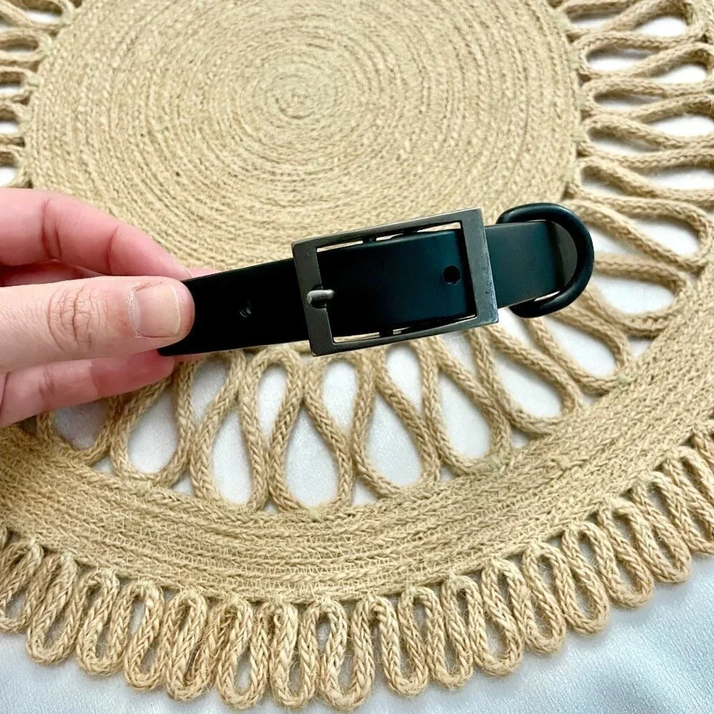 Wild One Black Dog Collar Size S