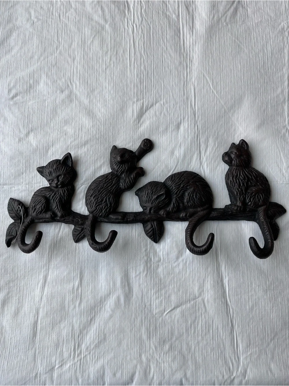 N/A cats metal