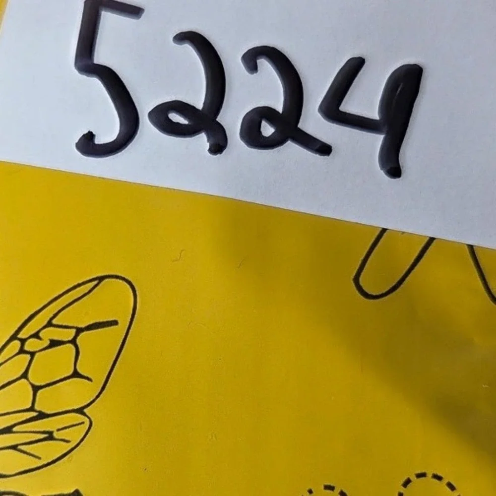 Sperry bahama boat