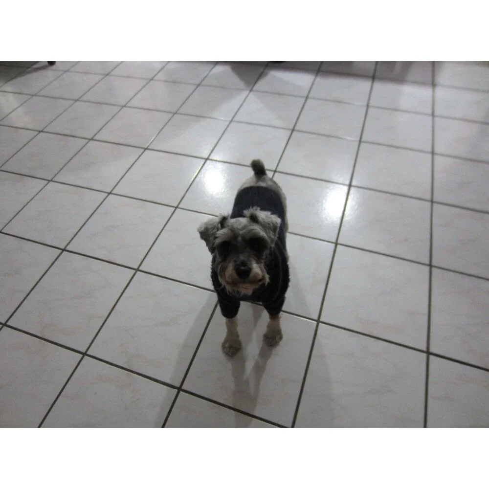 Canon powershot elph