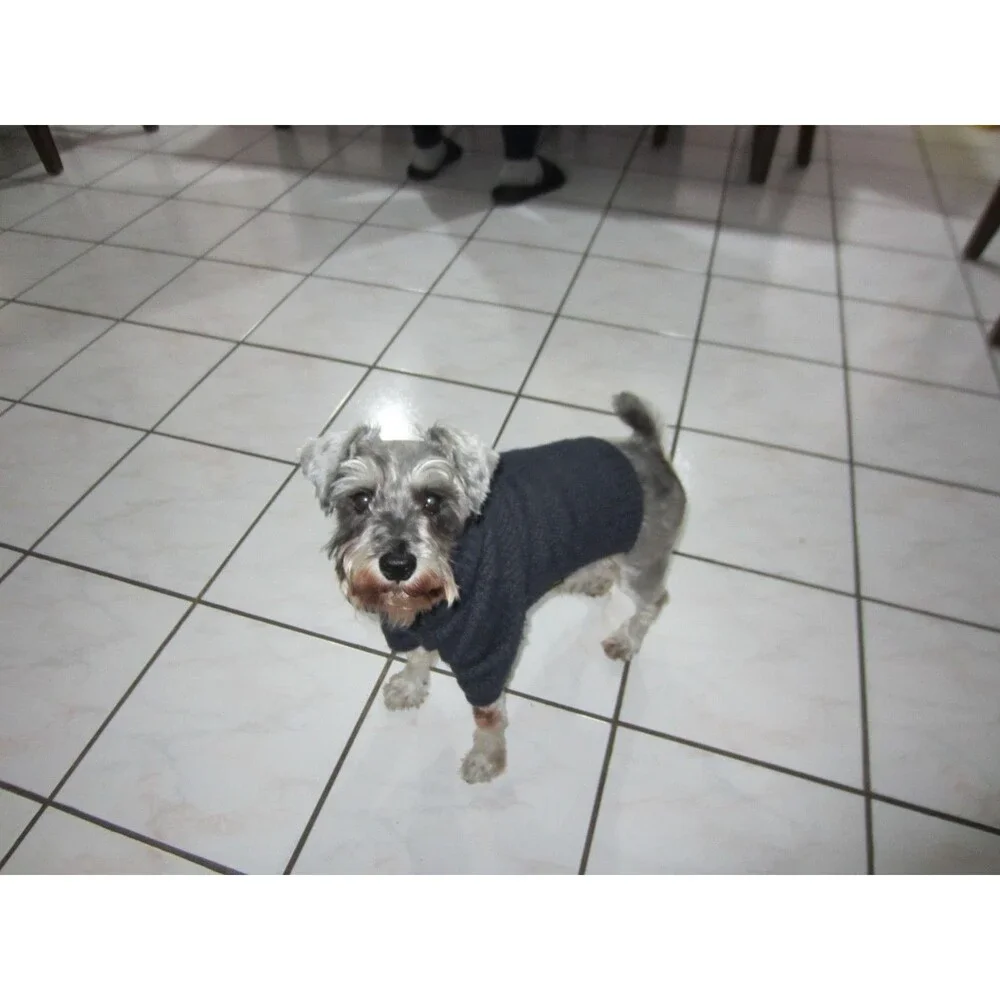 Canon powershot elph