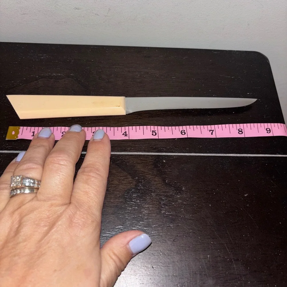Cattaraugus | Kitchen Knife | 9 inch | Acrylic Handle | MCM‎