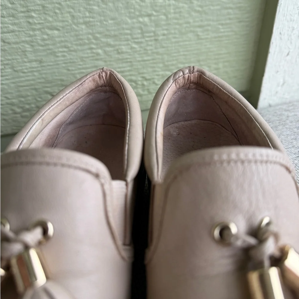 slides winny