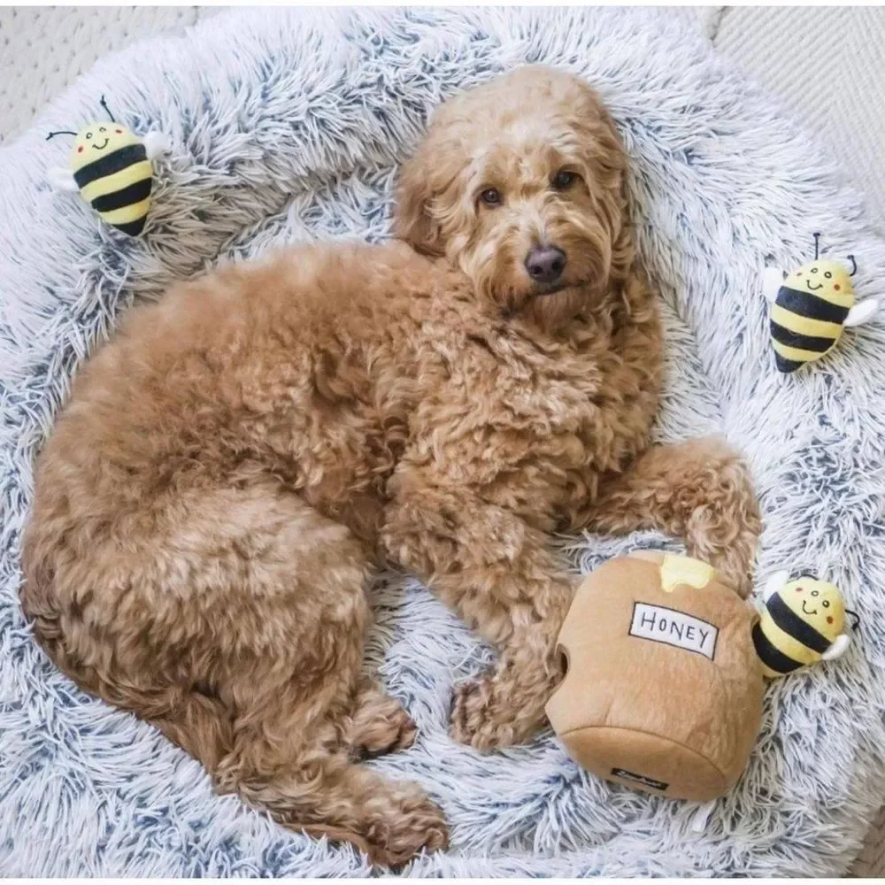 Zippy Paws no flaws