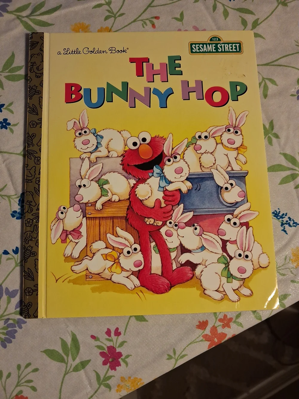 Sesame Street title book friendly