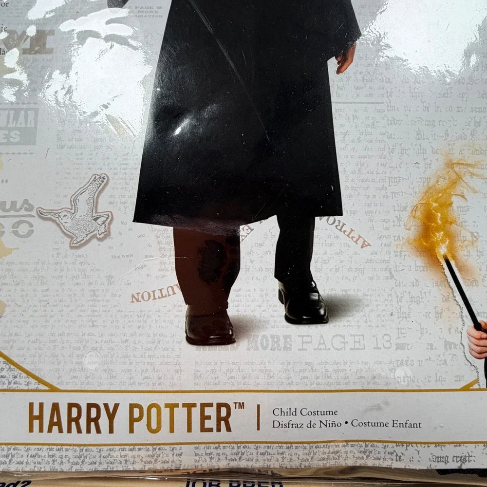 Disguise harry potter