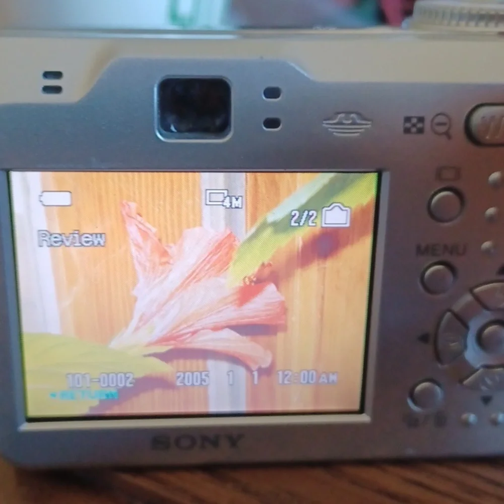 Sony questions leave
