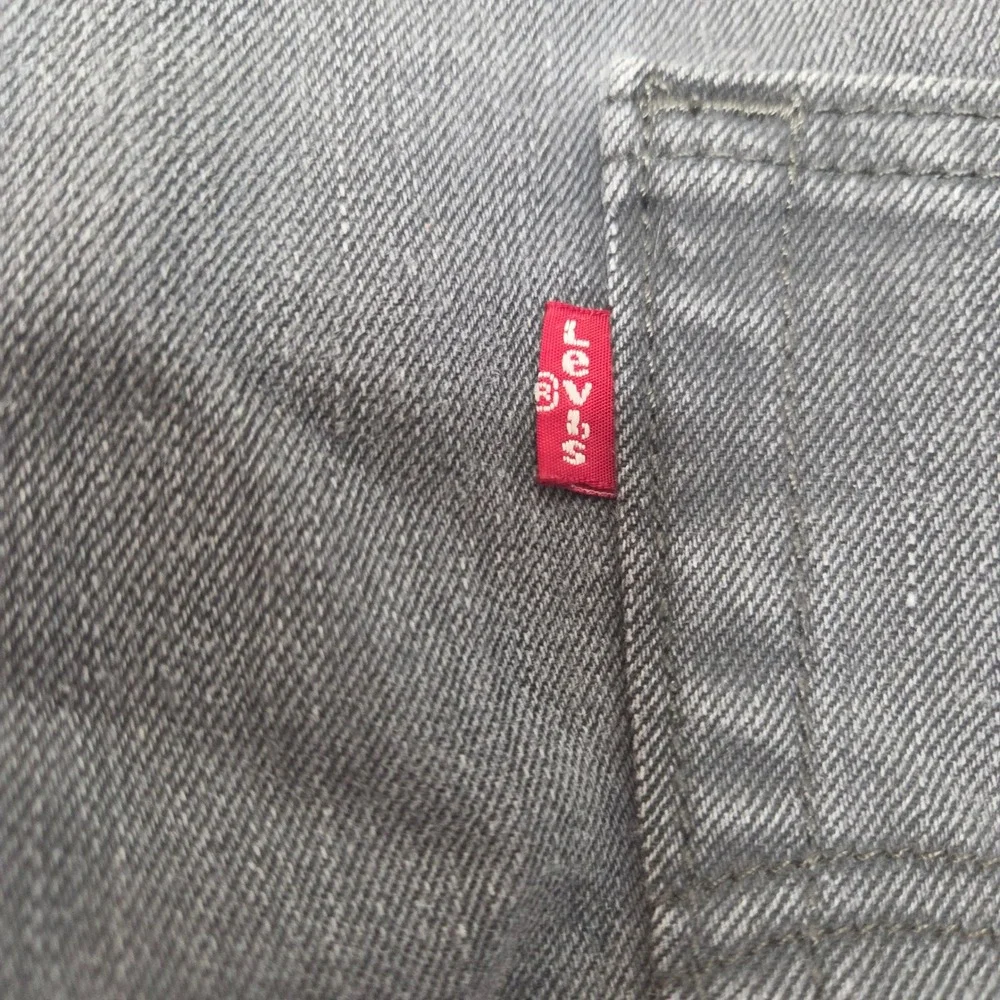 Levis levi strauss