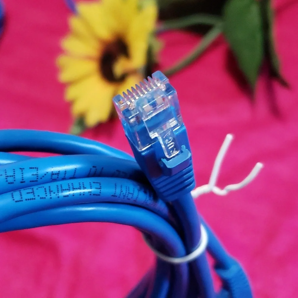 (no brand) cat 5e
