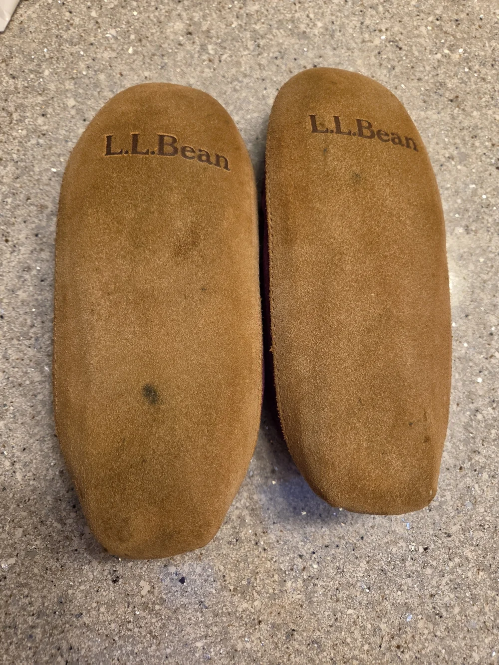 L.L. Bean bean plum
