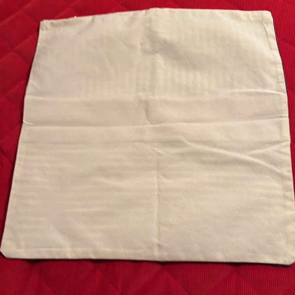 Source Unknown custom pillow