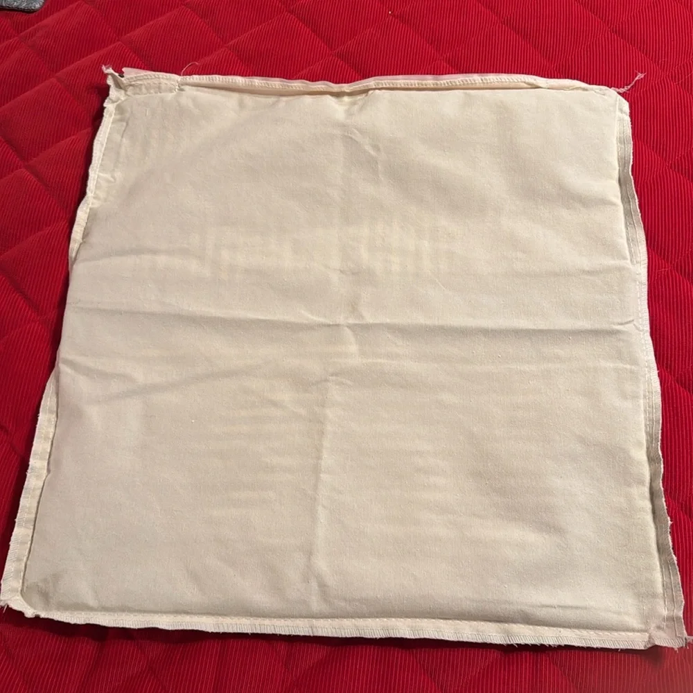 Source Unknown custom pillow