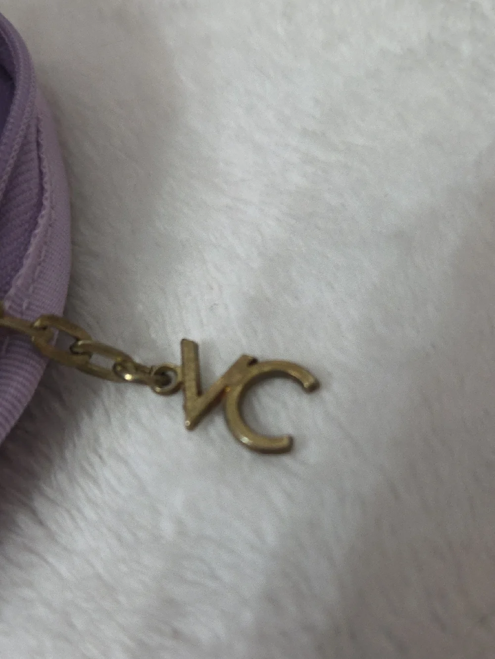 Gloria Vanderbilt case has