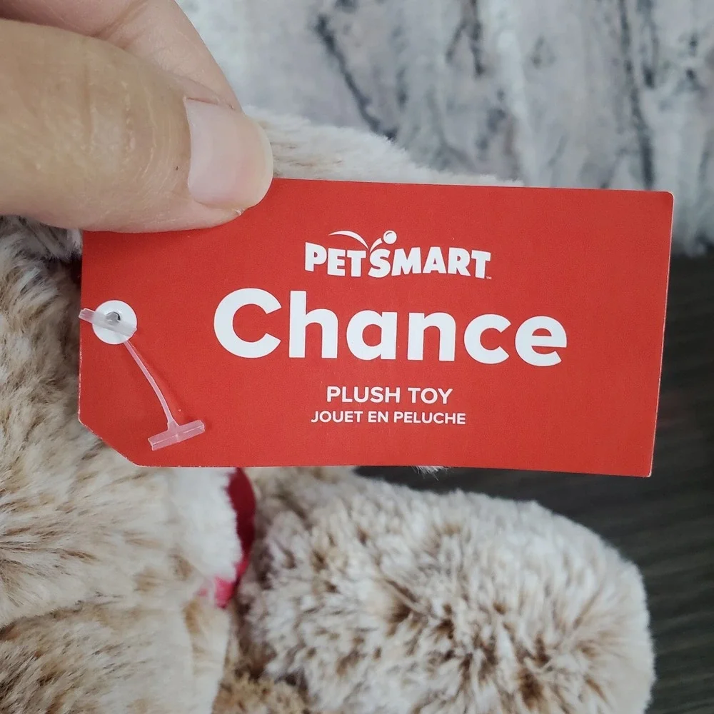 Petsmart new 2022