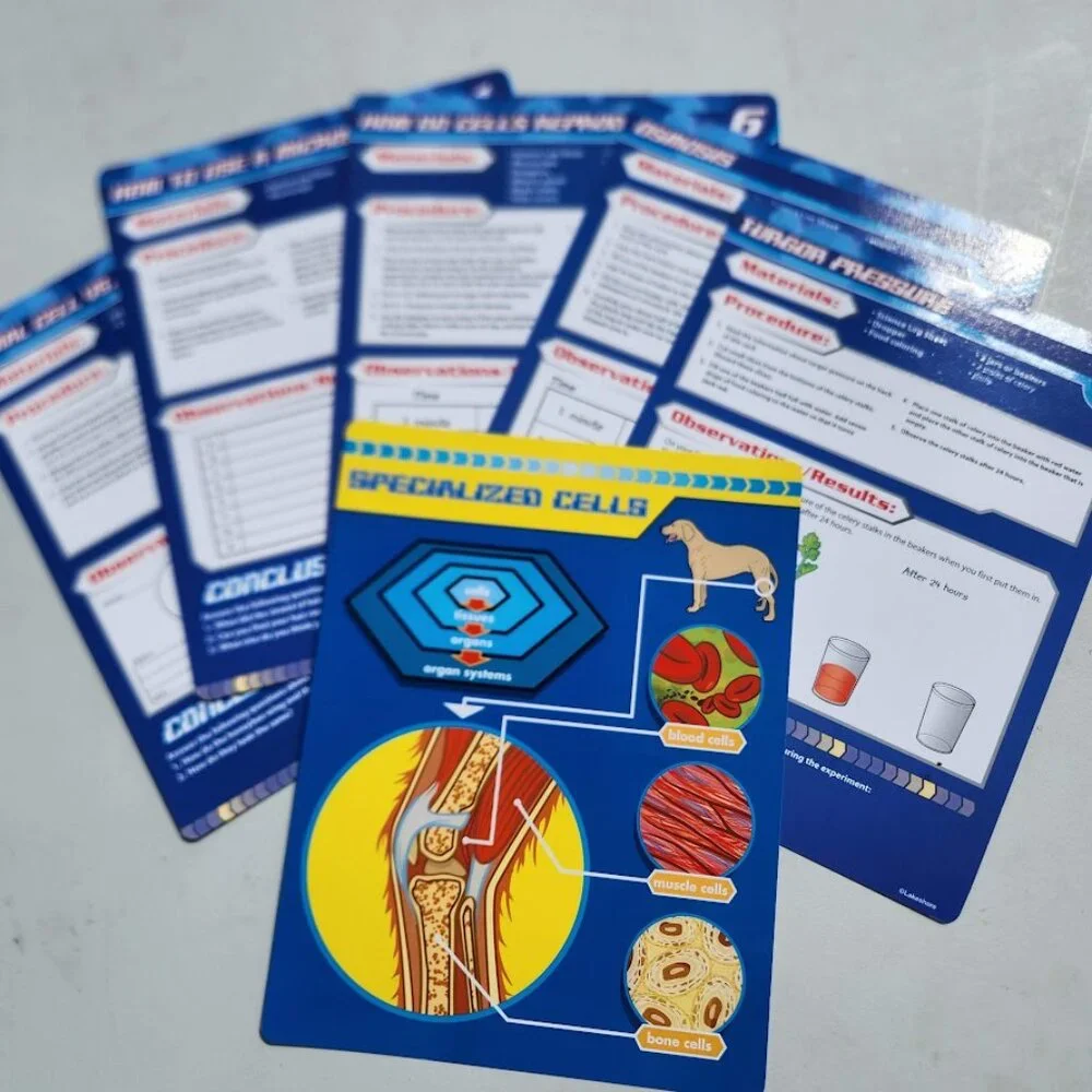 Lakeshore cells organisms