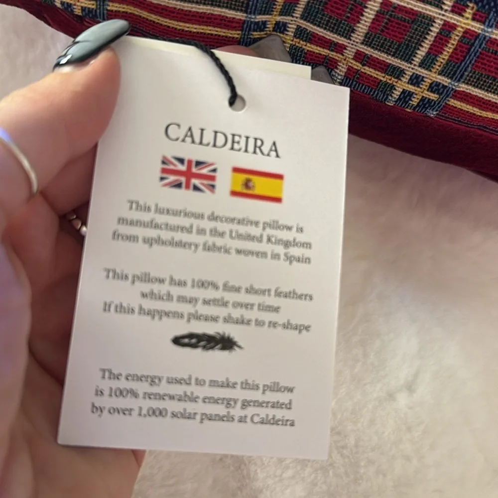 caldeira questions leave