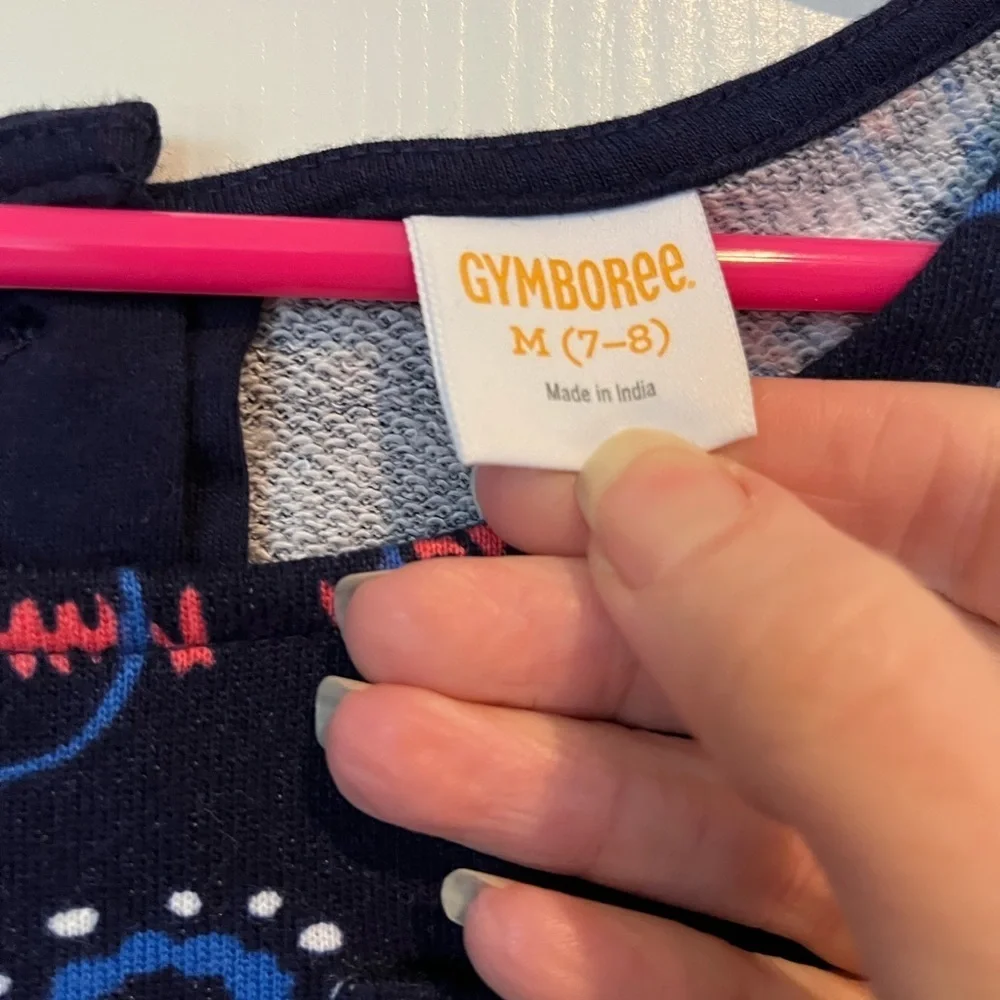 Gymboree dress size