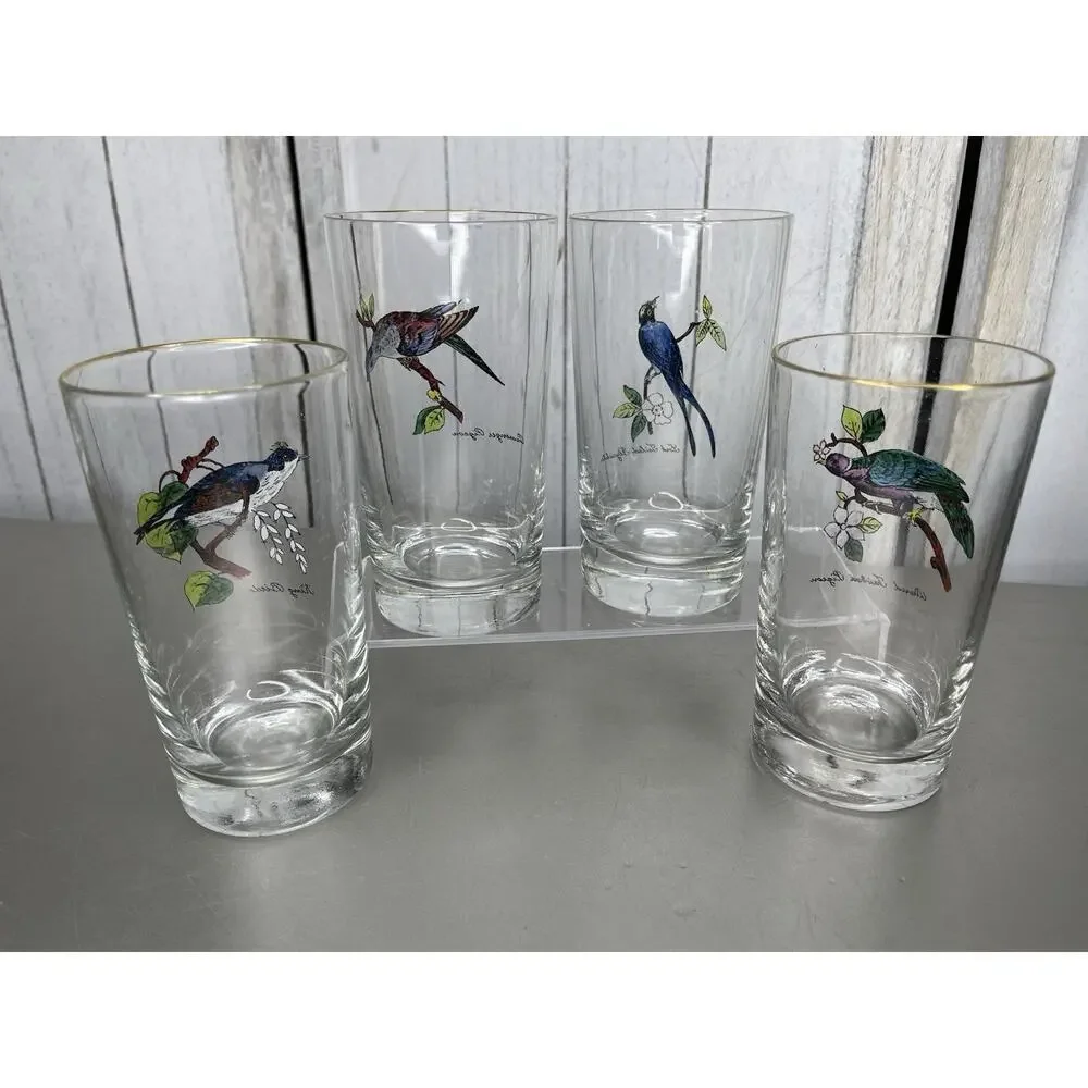 Vintage Set of 4 Hand Painted Bird Tumblers Drinking Glasses
