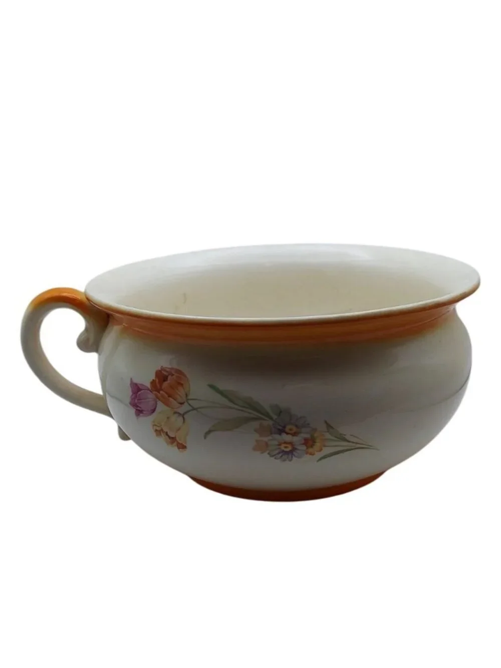 Vintage Coronet Ware Glazed Ceramic Floral Chamber Pot Parrot Co England Planter