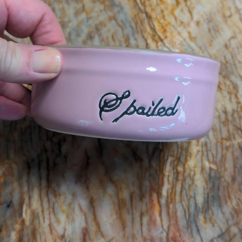SPOILED Cat Dog Food Bowl