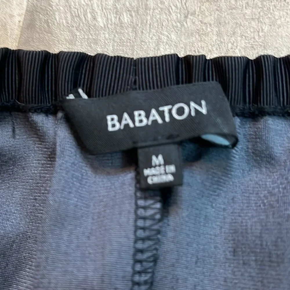 Aritzia artizia babaton