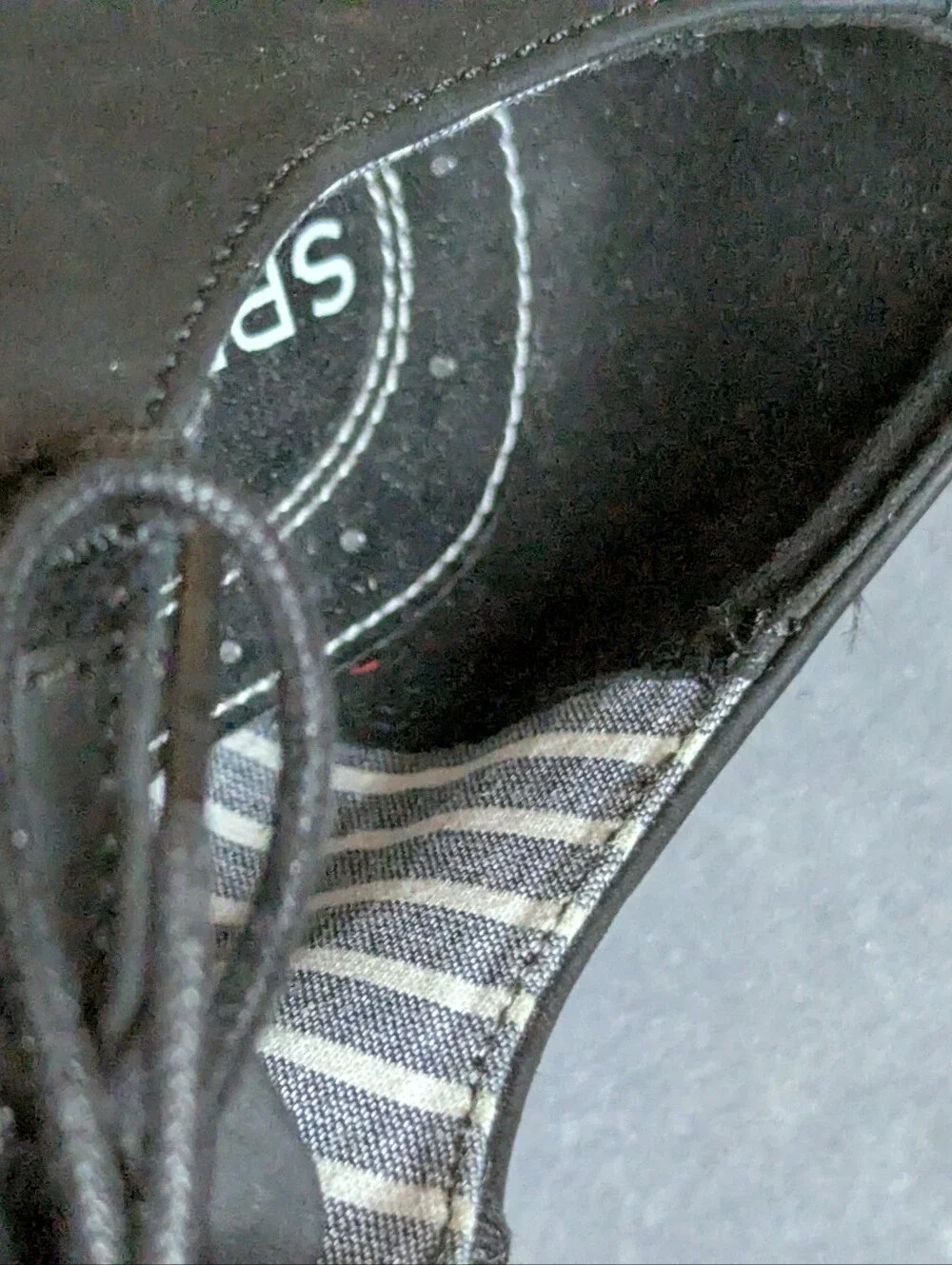Sperry men derby