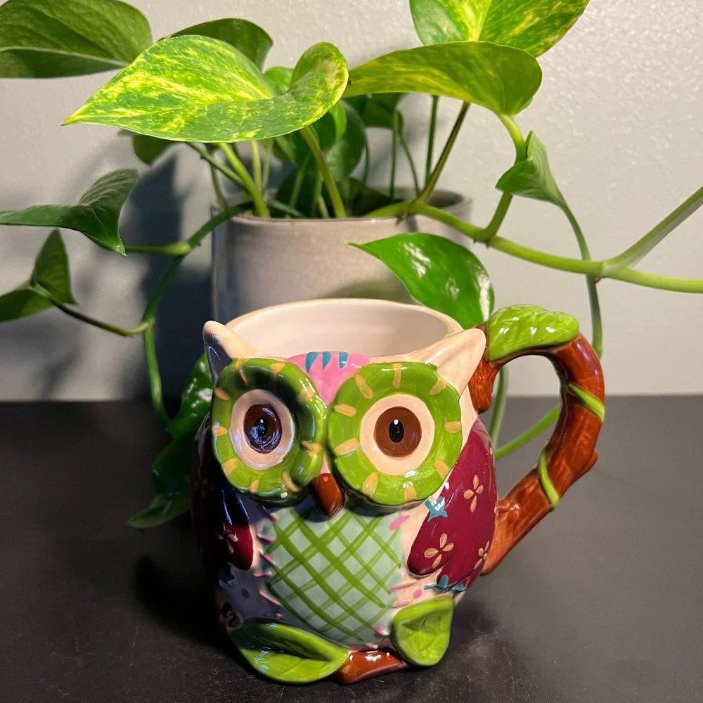 Pier 1 Imports Hand Painted Dolomite “Ollie the Owl” Large 3-D Mug ~ Planter