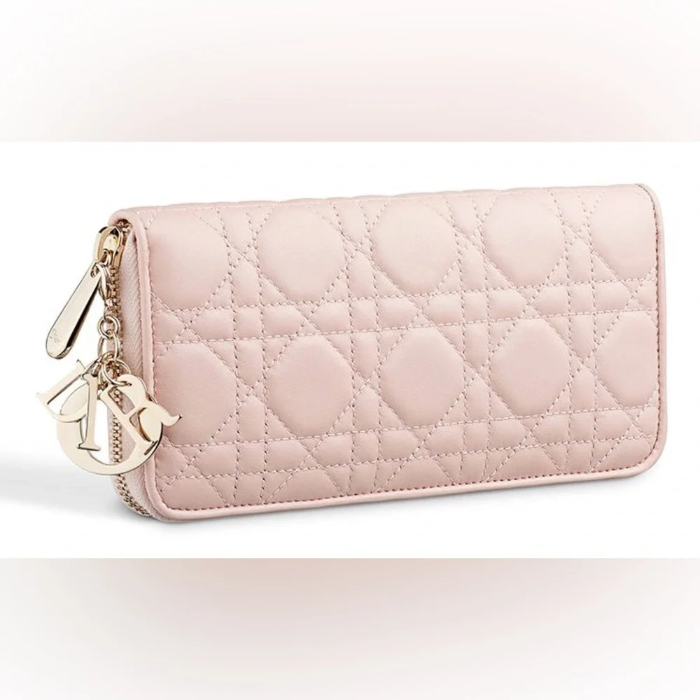 Dior elegant zip