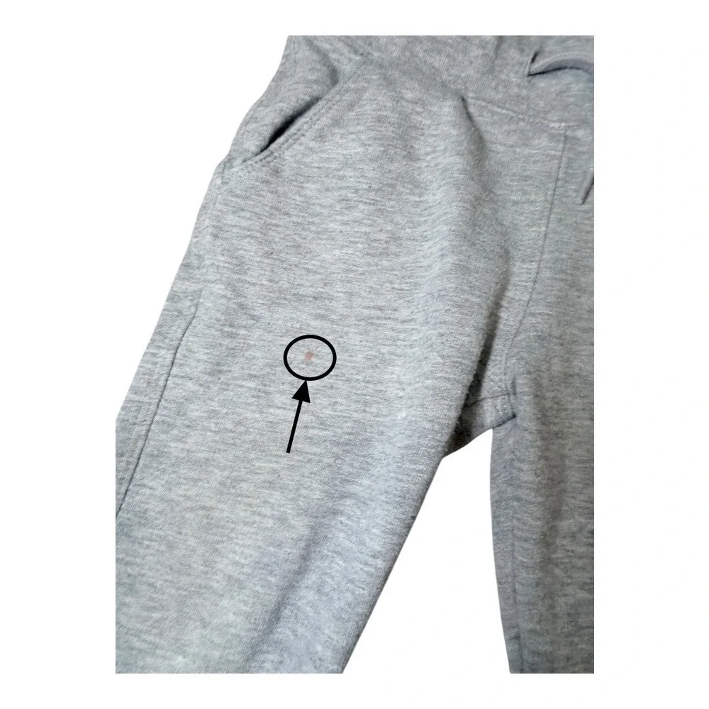Disney parks joggers
