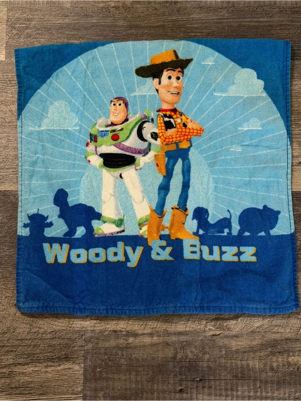 Disney wash days part