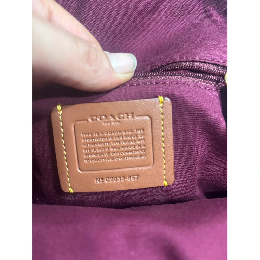 Coach color vuitton