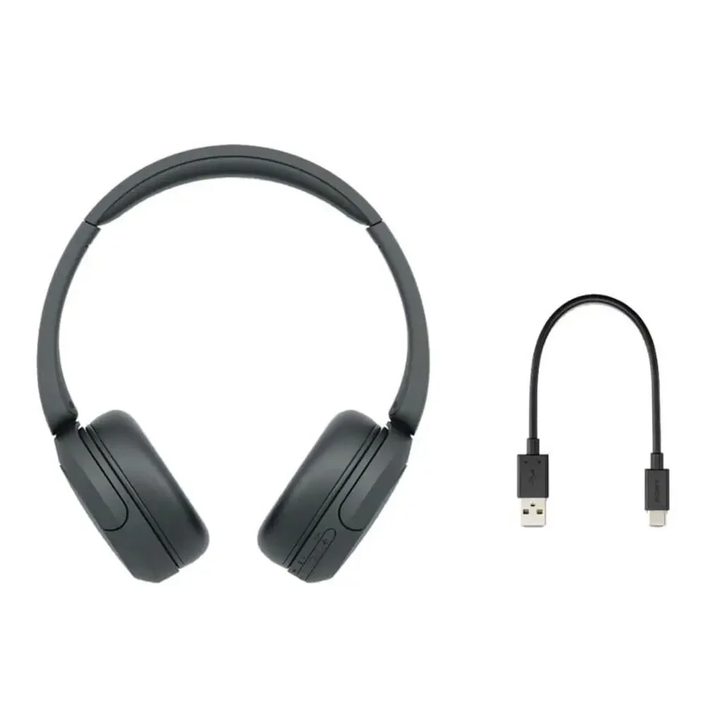 Sony wh ch520