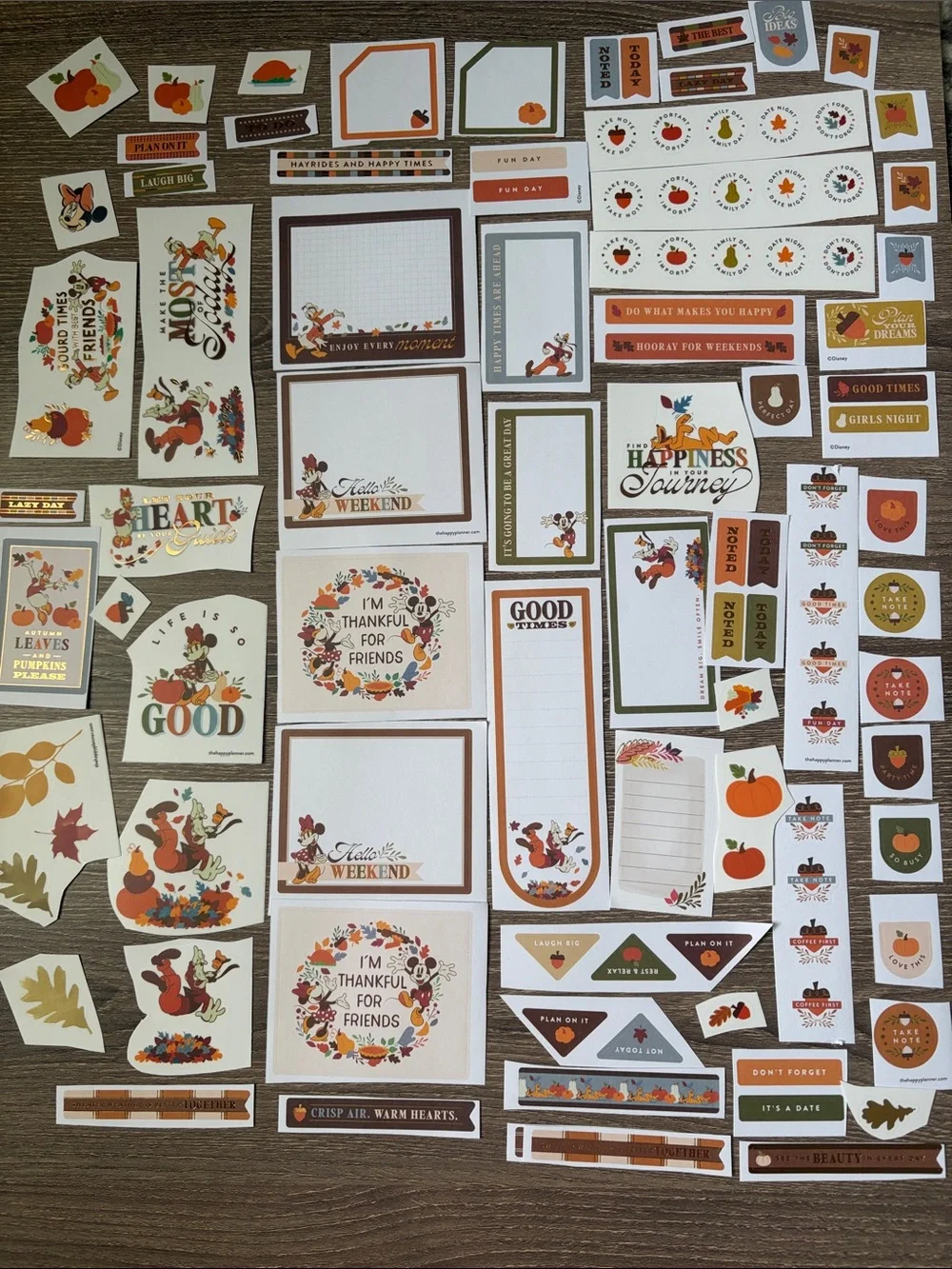 The Happy Planner 100+ stickers