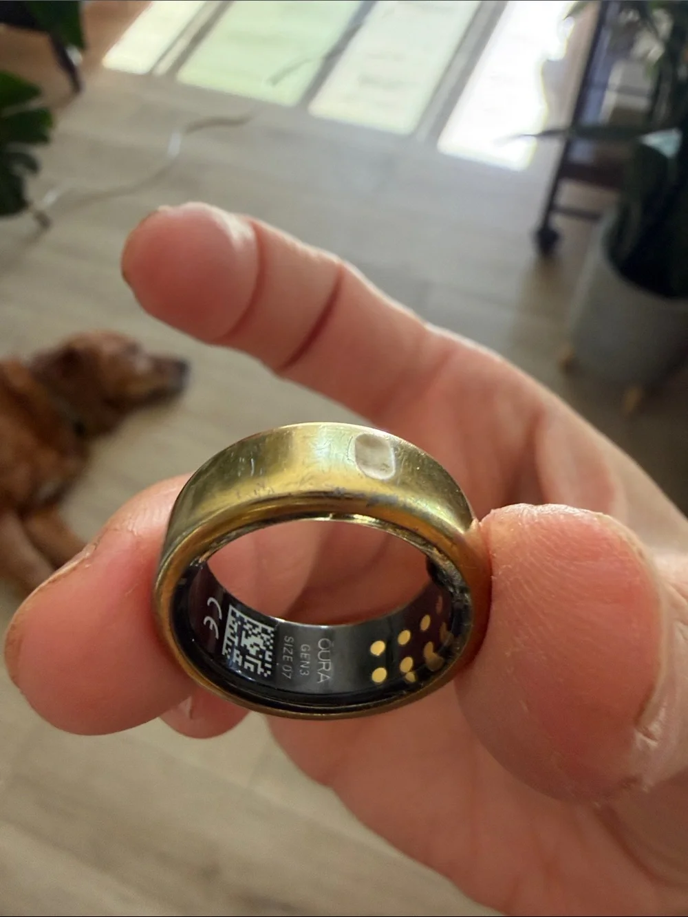 Oura sleek smart