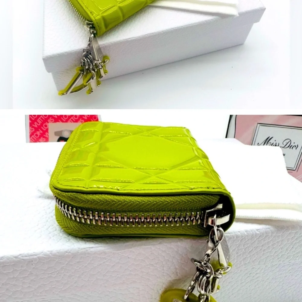 Dior bag dust