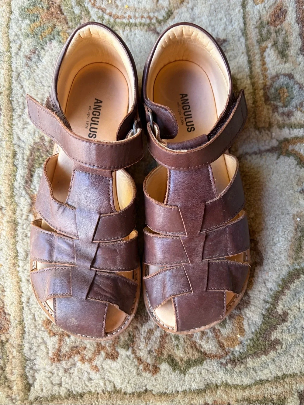 Angulus worn once