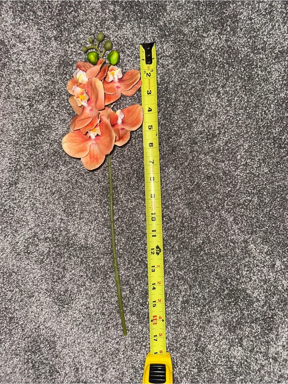 N/A beautiful orange