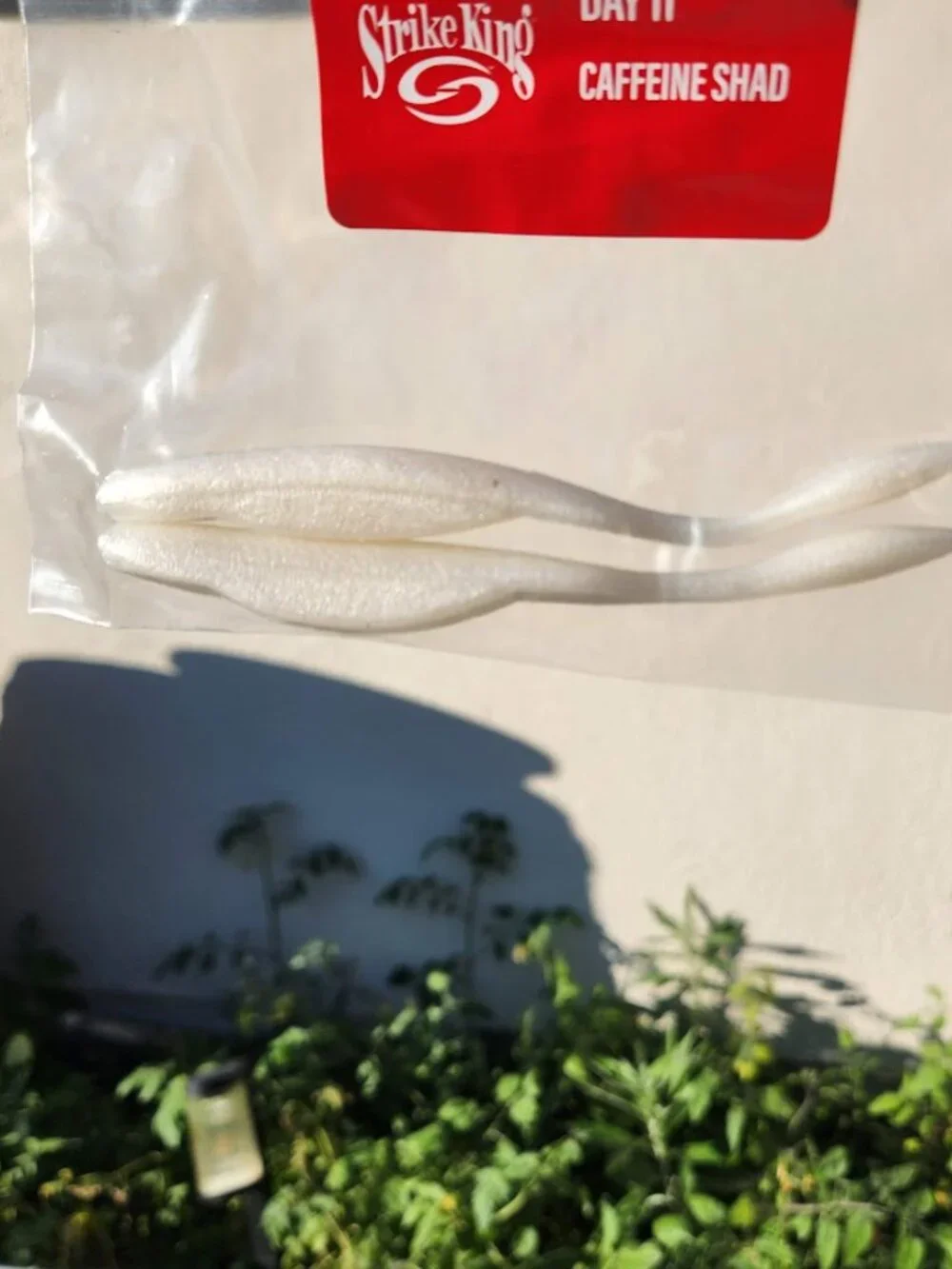 strike king bitsy fishing brand